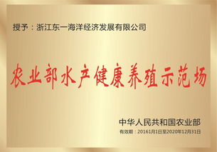 东一集团 技术、服务与品质的完美融合